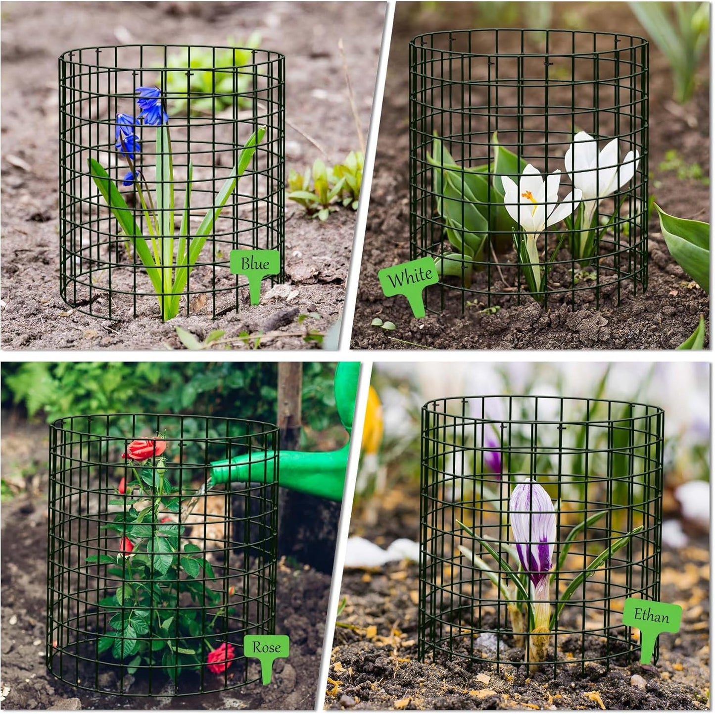 15Pcs Plant Protector from Animals: 5 Pack Metal Mesh Plant Cages to Keep Animals Out - Garden Protection Bunny Barricades from Chicken Squirrels Rabbits for Flowers Vegetables