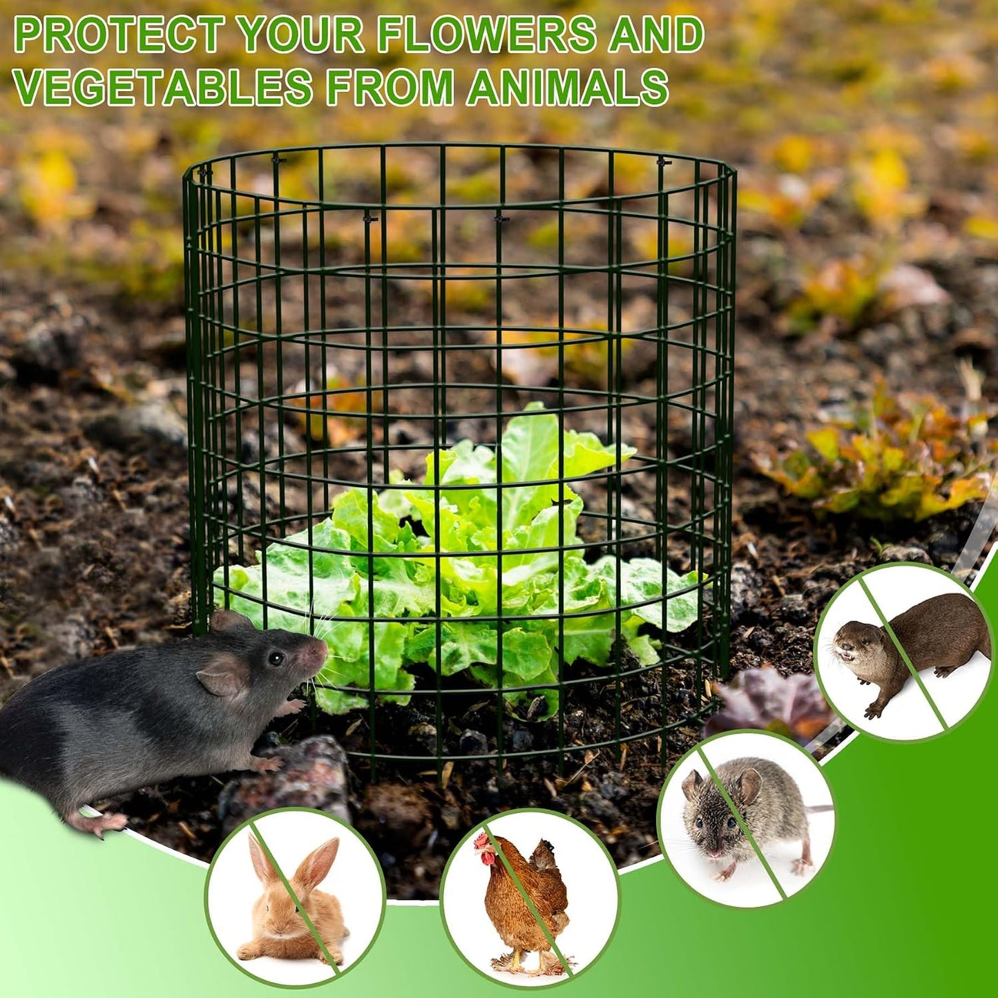 15Pcs Plant Protector from Animals: 5 Pack Metal Mesh Plant Cages to Keep Animals Out - Garden Protection Bunny Barricades from Chicken Squirrels Rabbits for Flowers Vegetables