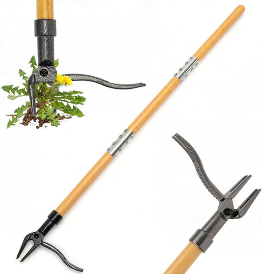Weed Puller Tool, 44" Stand Up Heavy Duty Root Removal Garden Tools with 4 Claw Steel Head, Made with Real Bamboo & Long Wooden Handle - Easily Remove Weeds Without Bending, Kneeling, or Pulling