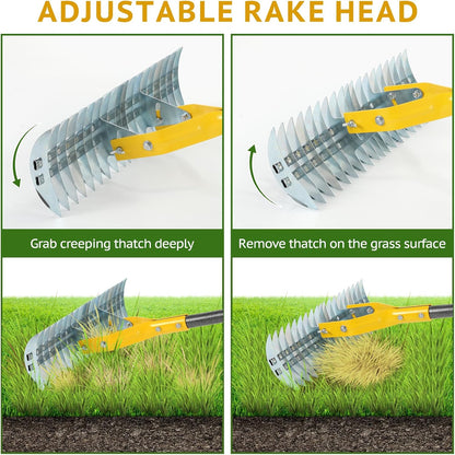 Thatch Rake, 15-Inch Steel Lawn Dethatcher with Handle, Heavy Duty Grass Cleaning Tool for Dead Grass and Soil Loosening, Versatile Yard and Garden Grooming (Black+Metallic Silver)