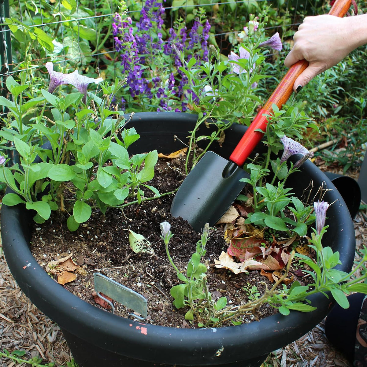 15 Inch Forged 3-Tine Cultivator
