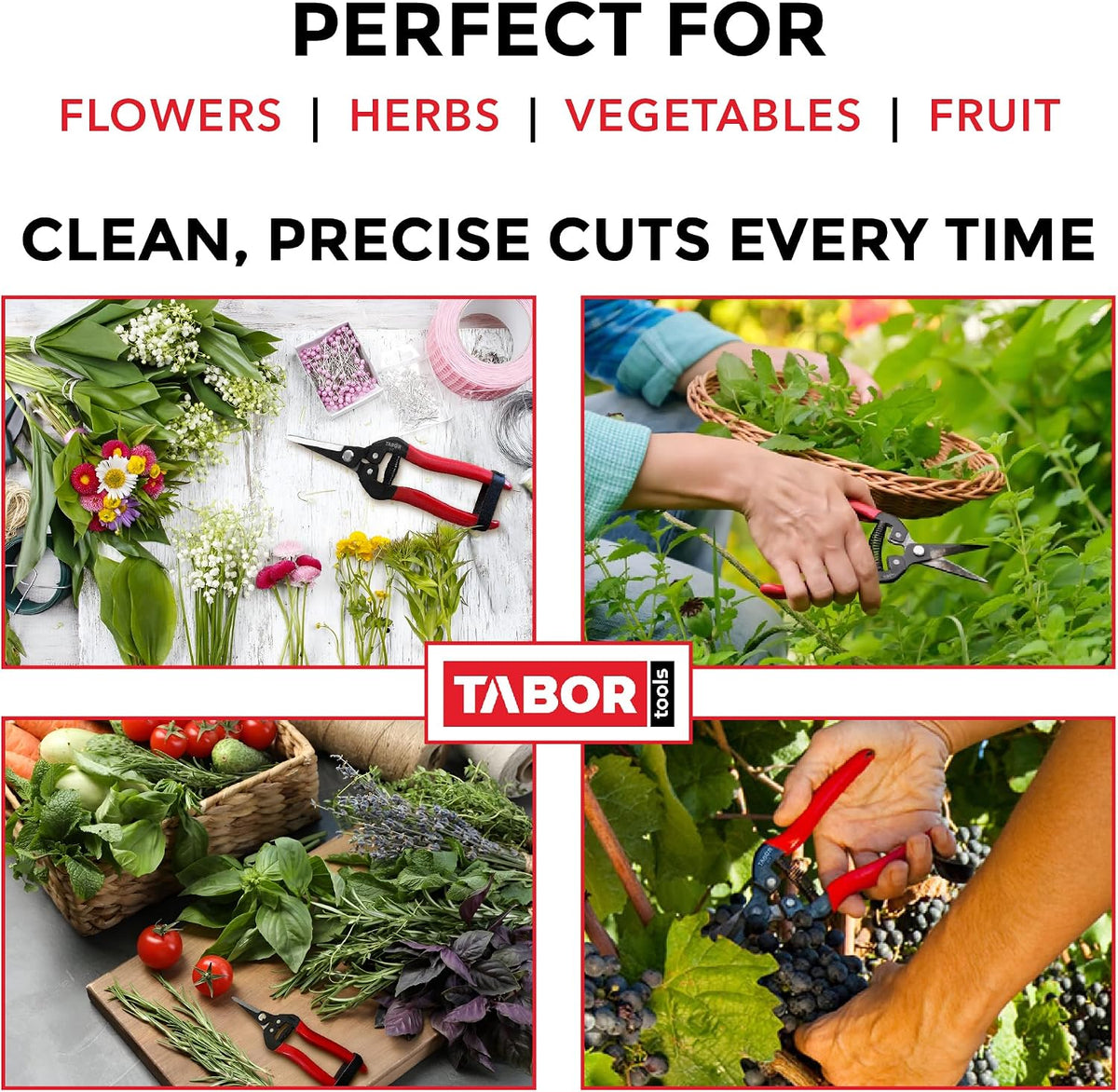 K7A Pruning Snips – 7,5" – Carbon Steel Flower Pruning Scissors for Gardening | Floral Snips and Pruners for Deadheading, Trimming & Harvesting Herbs, Flowers, Fruits or Vegetables