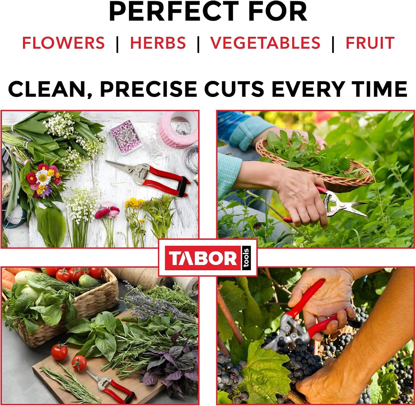 K7A Pruning Snips – 7,5" – Carbon Steel Flower Pruning Scissors for Gardening | Floral Snips and Pruners for Deadheading, Trimming & Harvesting Herbs, Flowers, Fruits or Vegetables