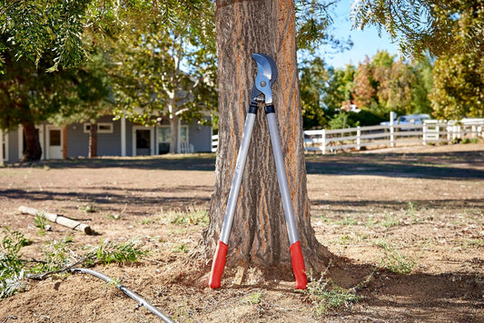 Super-Duty Bypass Lopper – 32-Inch Heavy-Duty Branch Cutter for Tree Trimming, Pruning & Limb Cutting, Professional Garden Loppers for Thick Branches
