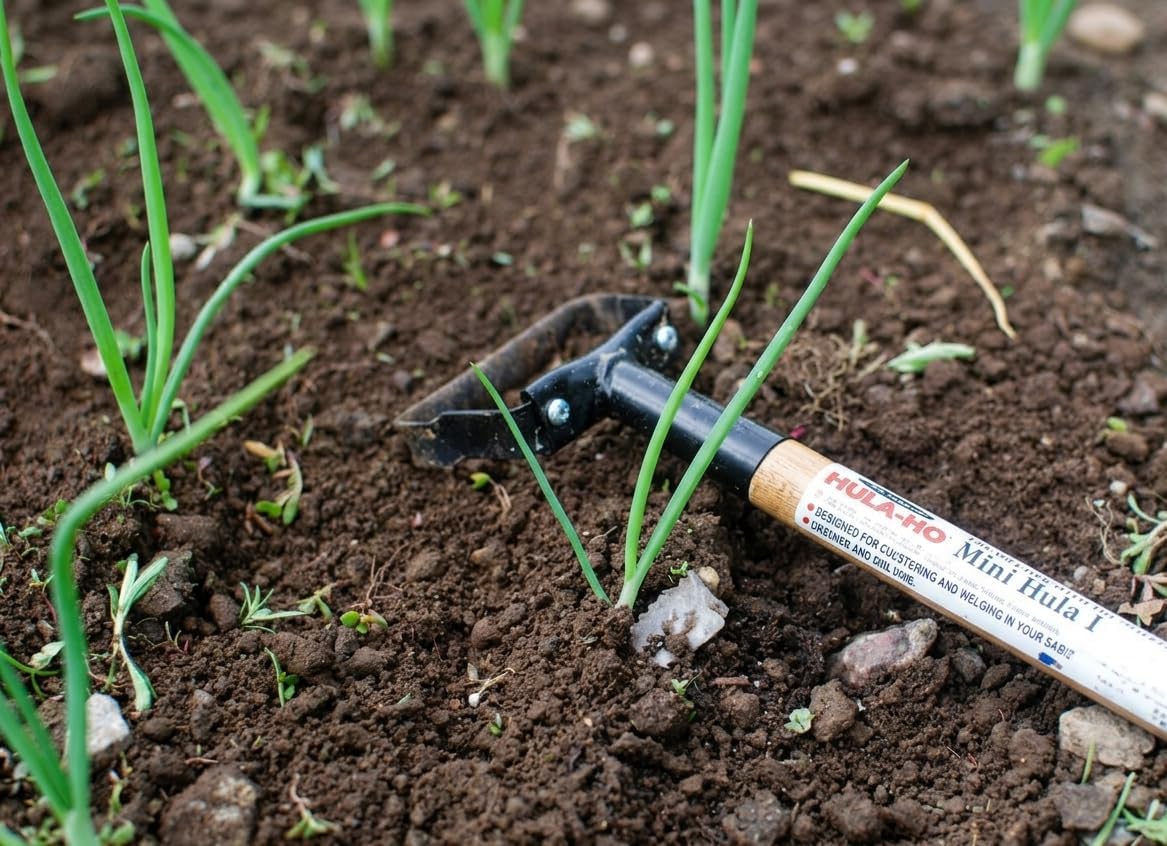 1000A Hula-Ho Weeder Cultivator with 54-inch AlumiLite Handle