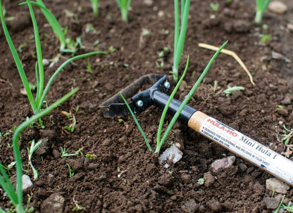 1000A Hula-Ho Weeder Cultivator with 54-inch AlumiLite Handle