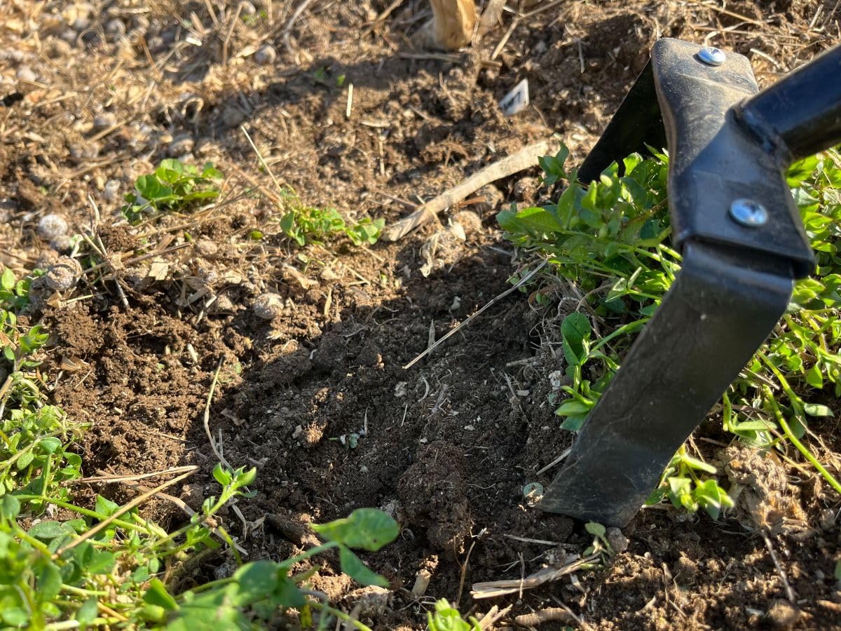 1000A Hula-Ho Weeder Cultivator with 54-inch AlumiLite Handle