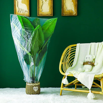 6 Pcs Winter Plant Covers Freeze Protection, 27.6 x 43.3 Inch