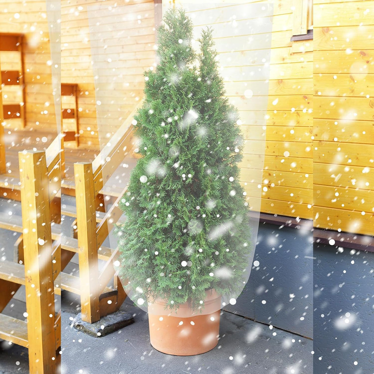 6 Pcs Winter Plant Covers Freeze Protection, 27.6 x 43.3 Inch