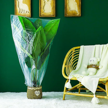 6 Pcs Winter Plant Covers Freeze Protection, 27.6 x 43.3 Inch