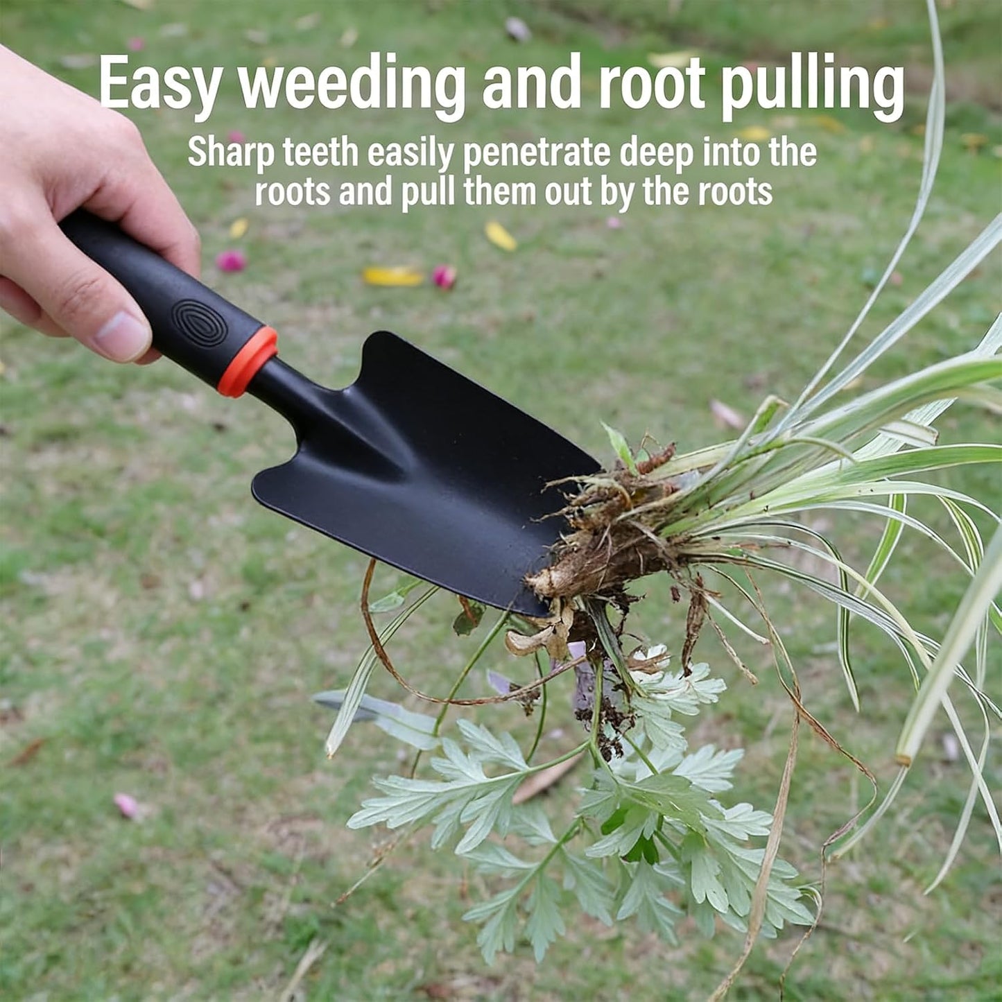 Small Hand Rake, Stainless Head and Tines, Gardening Hand Tool with Ergonomic Handle and Hanging Hole for Storage for Maintaining Raised Garden Beds