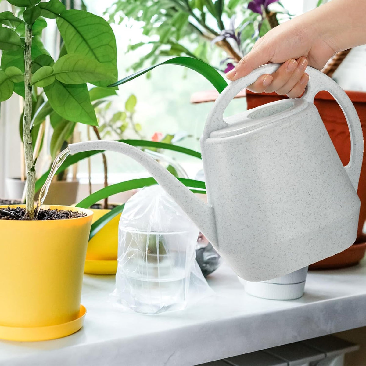 Watering Can, 1/2 Gallon Plastic Watering Cans with Comfortable Handle, Small Garden Watering Cans Long Spout for Indoor Outdoor Watering Plants, Gray White