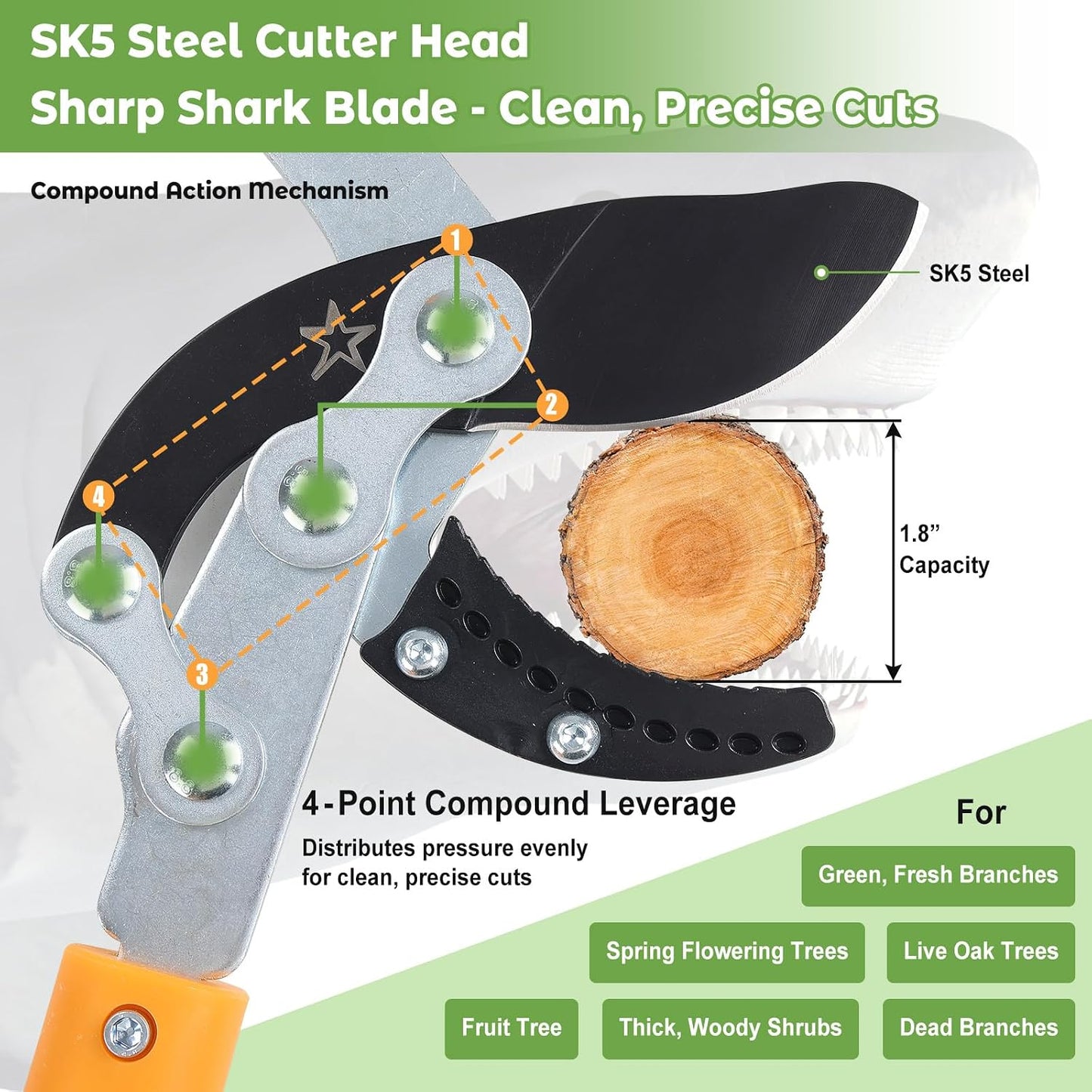 Extendable Loopers for Tree Trimming, 24-42'' Heavy Duty Thick Branches Cutter Lopping Shears with SK5 Steel Blade, Pruning Shear with 1.8” Cut Capacity, Loppers with Compound Action for Gardening