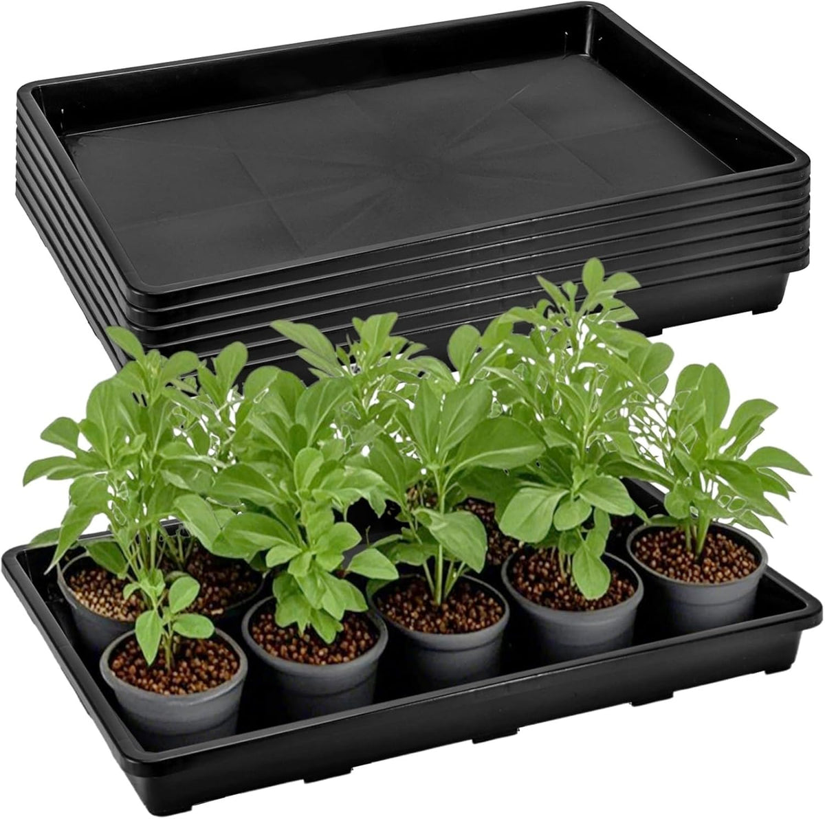 ZAVOOS 6 Pack Nursery Potting Trays with No Drain Holes