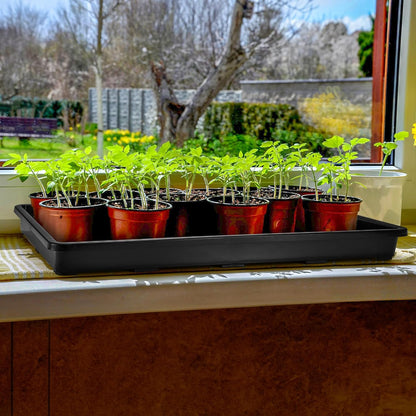 ZAVOOS 6 Pack Nursery Potting Trays with No Drain Holes