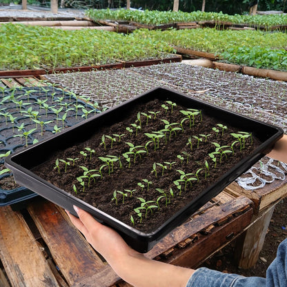 ZAVOOS 6 Pack Nursery Potting Trays with No Drain Holes