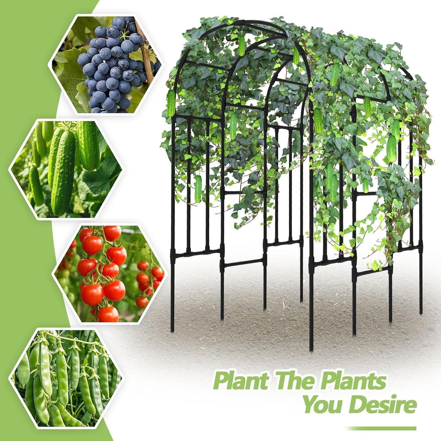 Trellis for Climbing Plants Outdoor - Cucumber Trellis Size:71*47* 79 inch