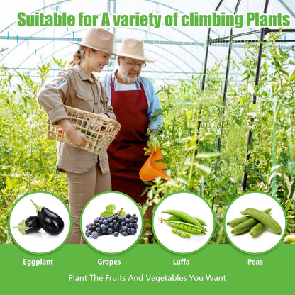 Trellis for Climbing Plants Outdoor - Cucumber Trellis Size:71*47* 79 inch
