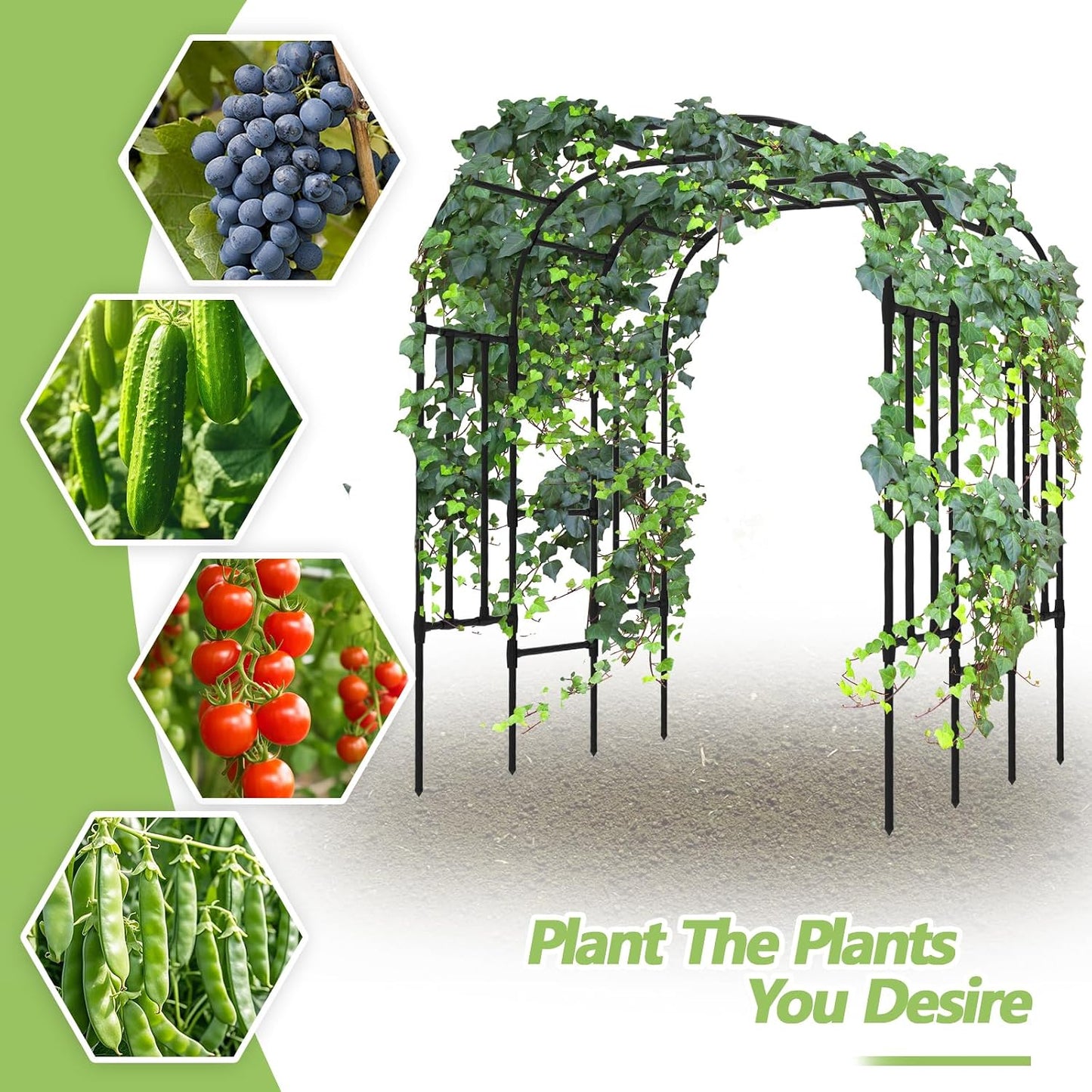 Trellis for Climbing Plants Outdoor - Cucumber Trellis Size:71*47* 79 inch