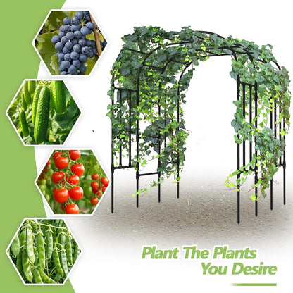 Trellis for Climbing Plants Outdoor - Cucumber Trellis Size:71*47* 79 inch