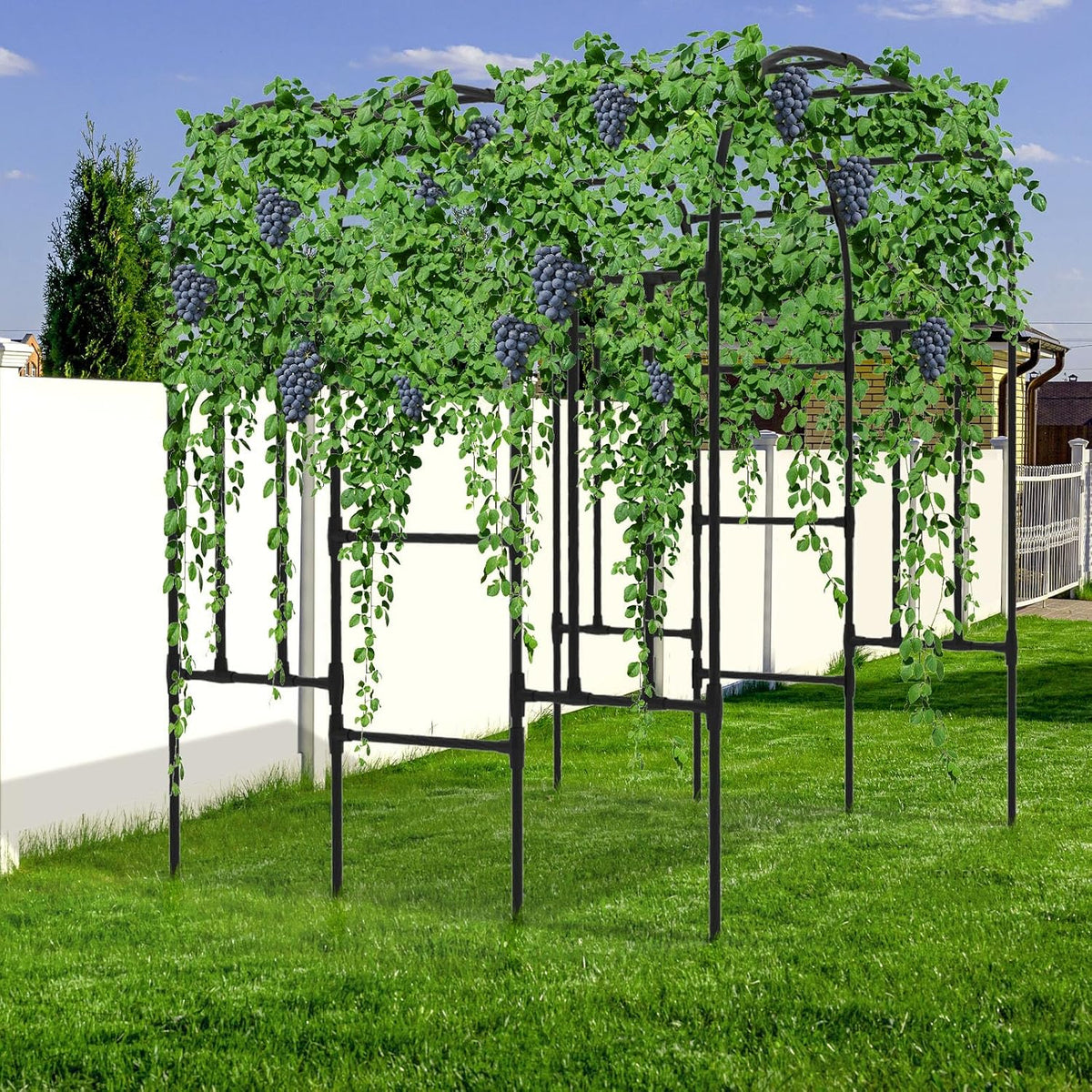 Trellis for Climbing Plants Outdoor - Cucumber Trellis Size:71*47* 79 inch