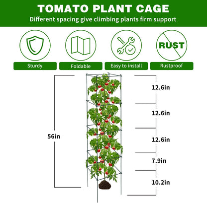 6 Packs Tomato Cages for Garden, 12"×12"×48" Plant Support Cage with Different Spacing, Green Metal Trellis for Climbing Plants Like Cucumber, Flowers