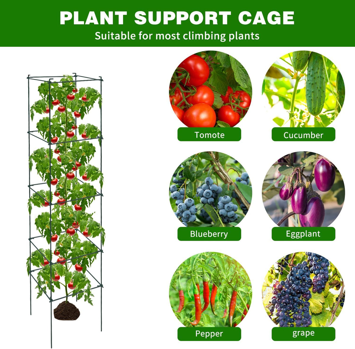 6 Packs Tomato Cages for Garden, 12"×12"×48" Plant Support Cage with Different Spacing, Green Metal Trellis for Climbing Plants Like Cucumber, Flowers