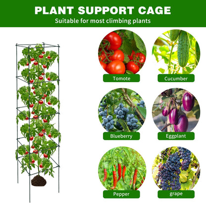 6 Packs Tomato Cages for Garden, 12"×12"×48" Plant Support Cage with Different Spacing, Green Metal Trellis for Climbing Plants Like Cucumber, Flowers