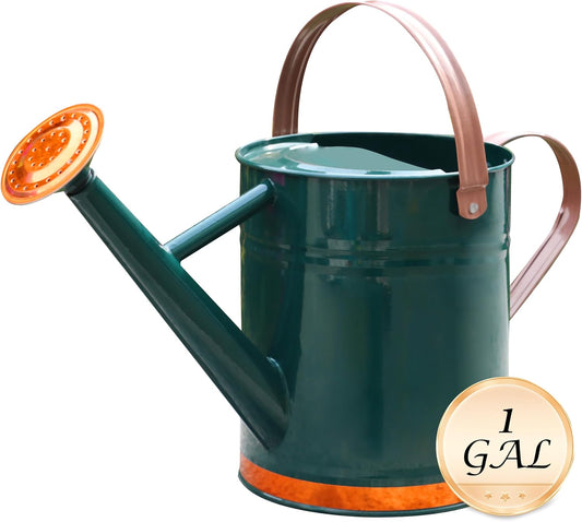 Metal Watering Can for Outdoor Plants, Watering Can Decor 1 Gallon (GB)