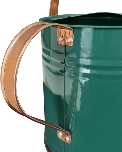 Metal Watering Can for Outdoor Plants, Watering Can Decor 1 Gallon (GB)