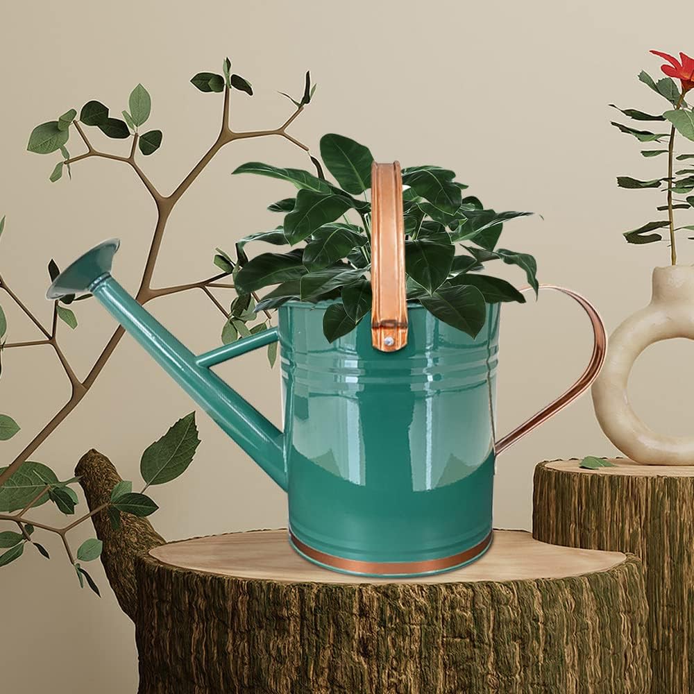 Metal Watering Can for Outdoor Plants, Watering Can Decor 1 Gallon (GB)