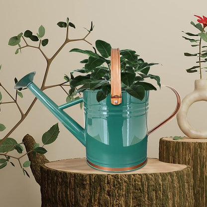 Metal Watering Can for Outdoor Plants, Watering Can Decor 1 Gallon (GB)
