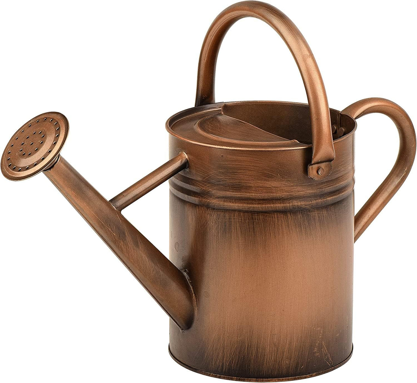 Metal Watering Can for Outdoor Plants, Watering Can Decor 1 Gallon (GB)