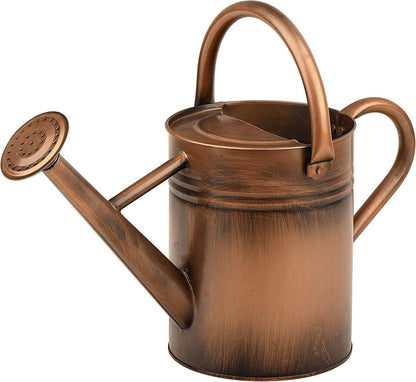Metal Watering Can for Outdoor Plants, Watering Can Decor 1 Gallon (GB)
