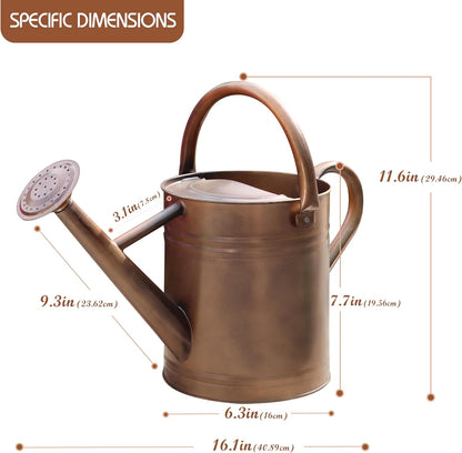 Metal Watering Can for Outdoor Plants, Watering Can Decor 1 Gallon (GB)