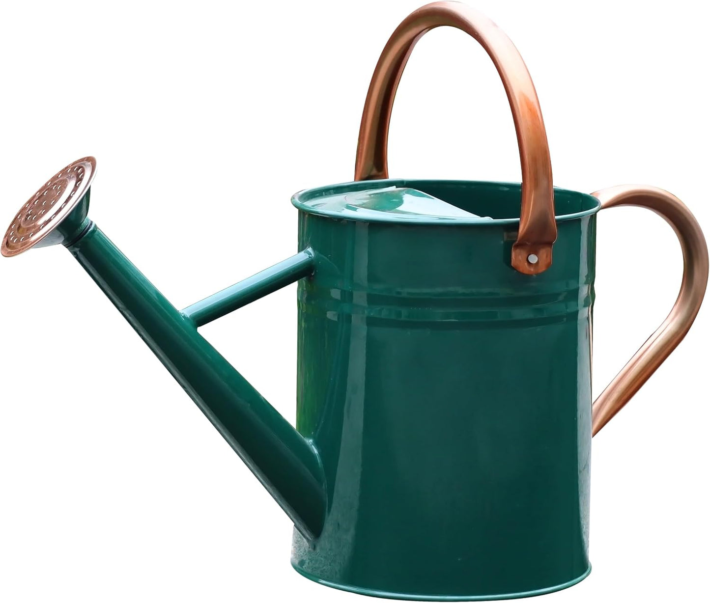 Metal Watering Can for Outdoor Plants, Watering Can Decor 1 Gallon (GB)