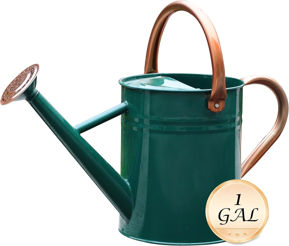 Metal Watering Can for Outdoor Plants, Watering Can Decor 1 Gallon (GB)