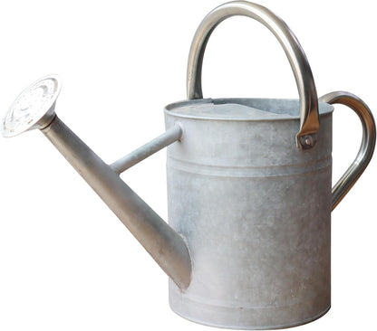 Metal Watering Can for Outdoor Plants, Watering Can Decor 1 Gallon (GB)