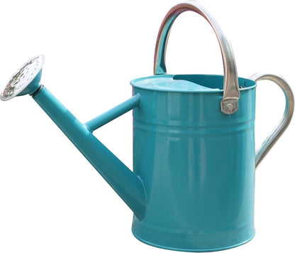 Metal Watering Can for Outdoor Plants, Watering Can Decor 1 Gallon (GB)