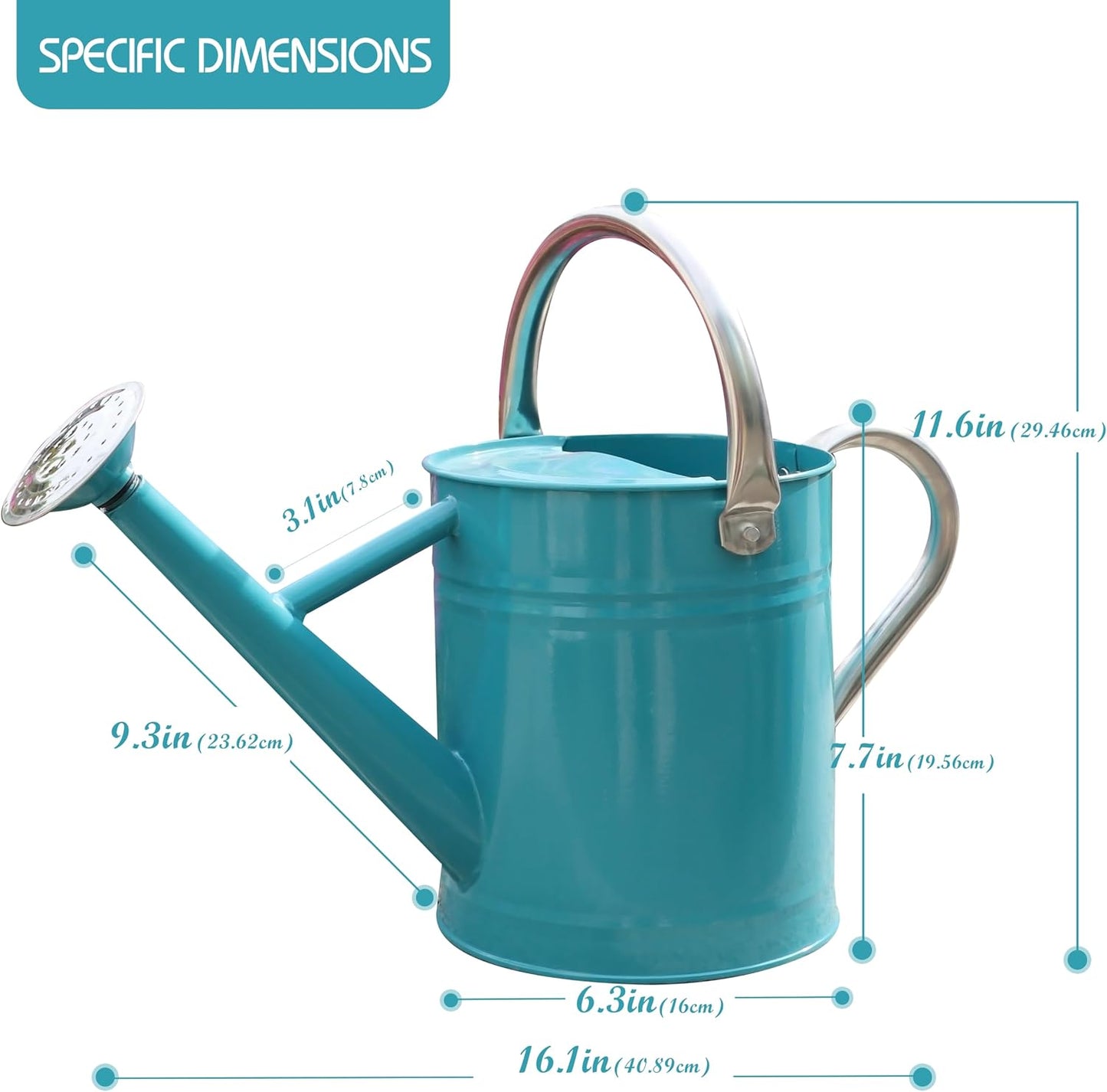 Metal Watering Can for Outdoor Plants, Watering Can Decor 1 Gallon (GB)