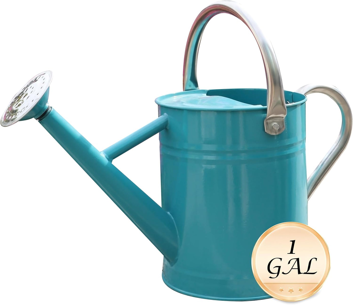 Metal Watering Can for Outdoor Plants, Watering Can Decor 1 Gallon (GB)