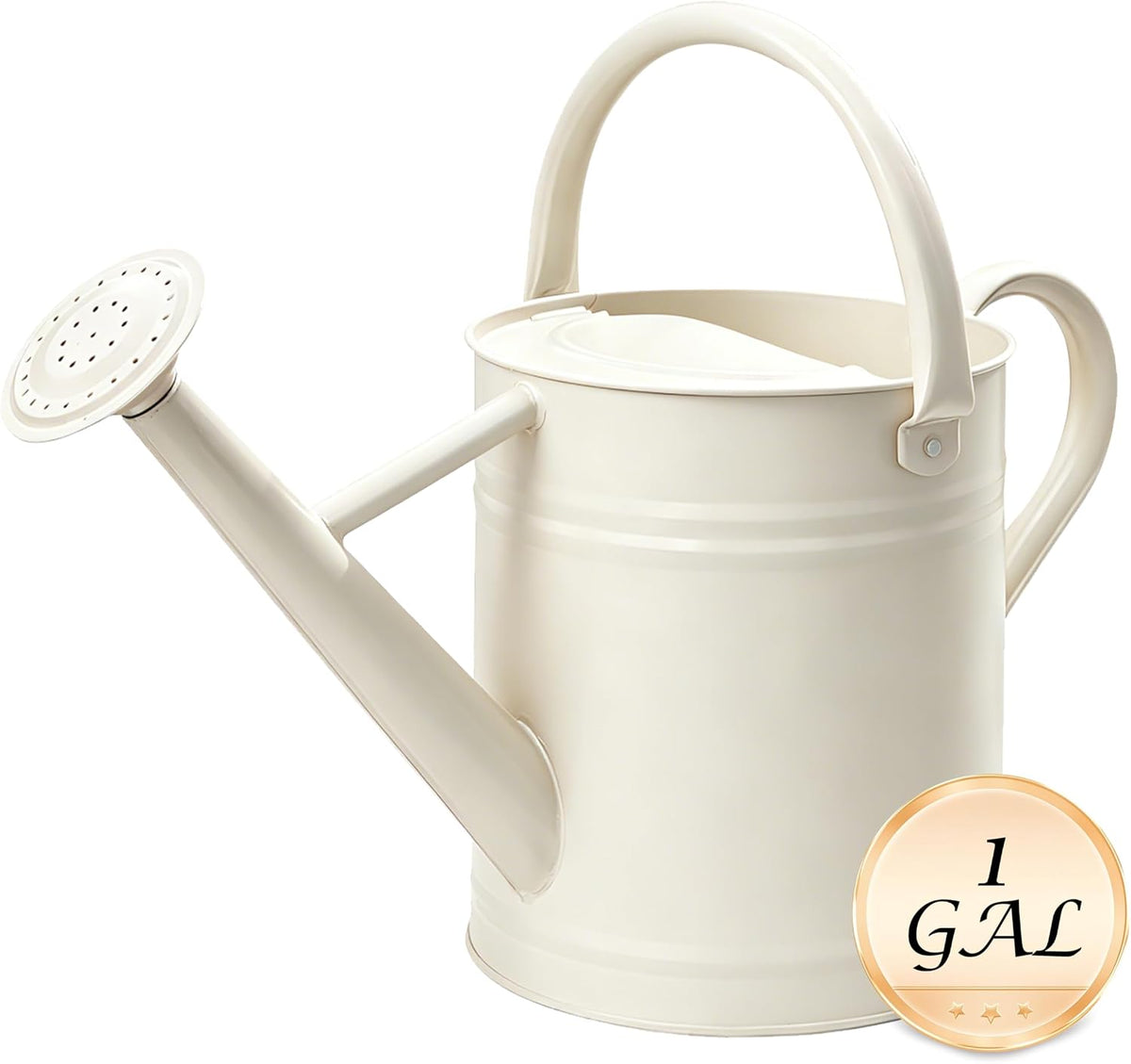 Metal Watering Can for Outdoor Plants, Watering Can Decor 1 Gallon (GB)