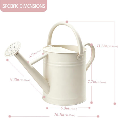 Metal Watering Can for Outdoor Plants, Watering Can Decor 1 Gallon (GB)