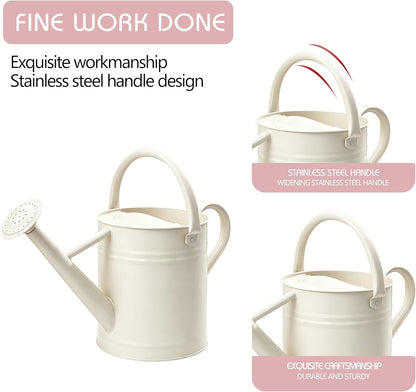 Metal Watering Can for Outdoor Plants, Watering Can Decor 1 Gallon (GB)
