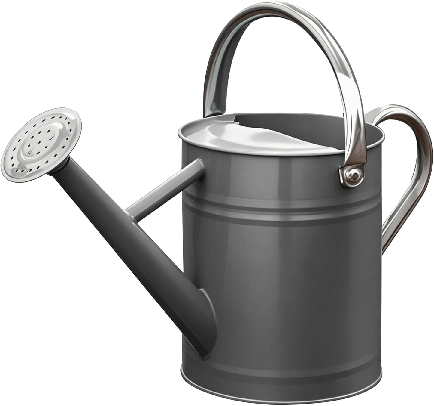 Metal Watering Can for Outdoor Plants, Watering Can Decor 1 Gallon (GB)