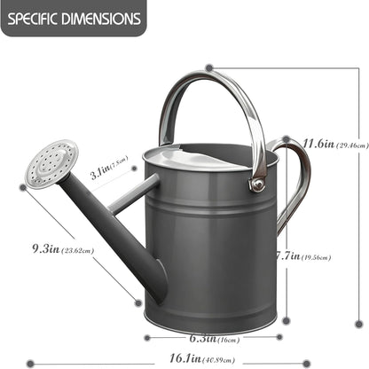 Metal Watering Can for Outdoor Plants, Watering Can Decor 1 Gallon (GB)