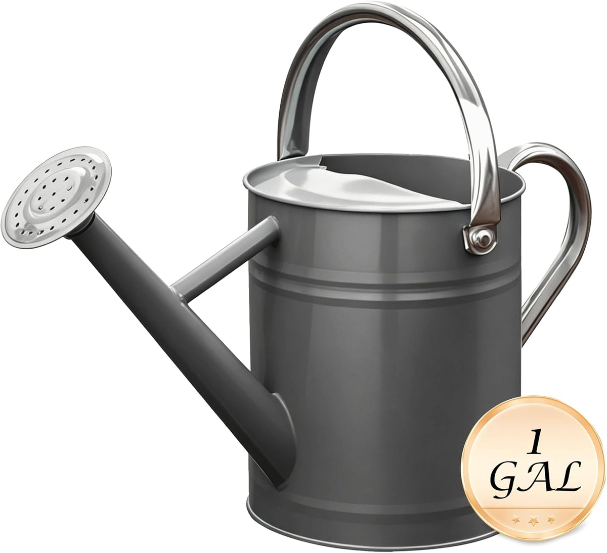 Metal Watering Can for Outdoor Plants, Watering Can Decor 1 Gallon (GB)