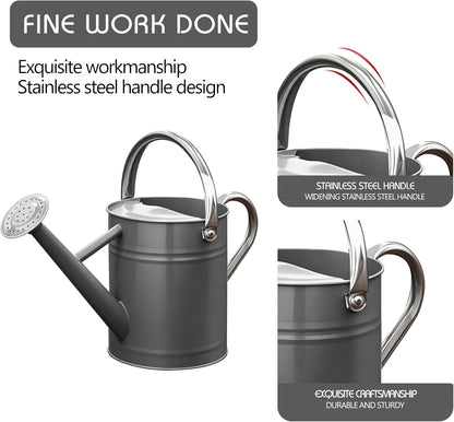 Metal Watering Can for Outdoor Plants, Watering Can Decor 1 Gallon (GB)