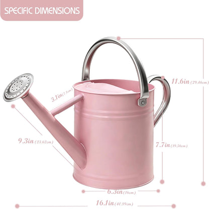Metal Watering Can for Outdoor Plants, Watering Can Decor 1 Gallon (GB)