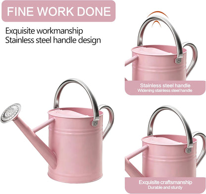 Metal Watering Can for Outdoor Plants, Watering Can Decor 1 Gallon (GB)